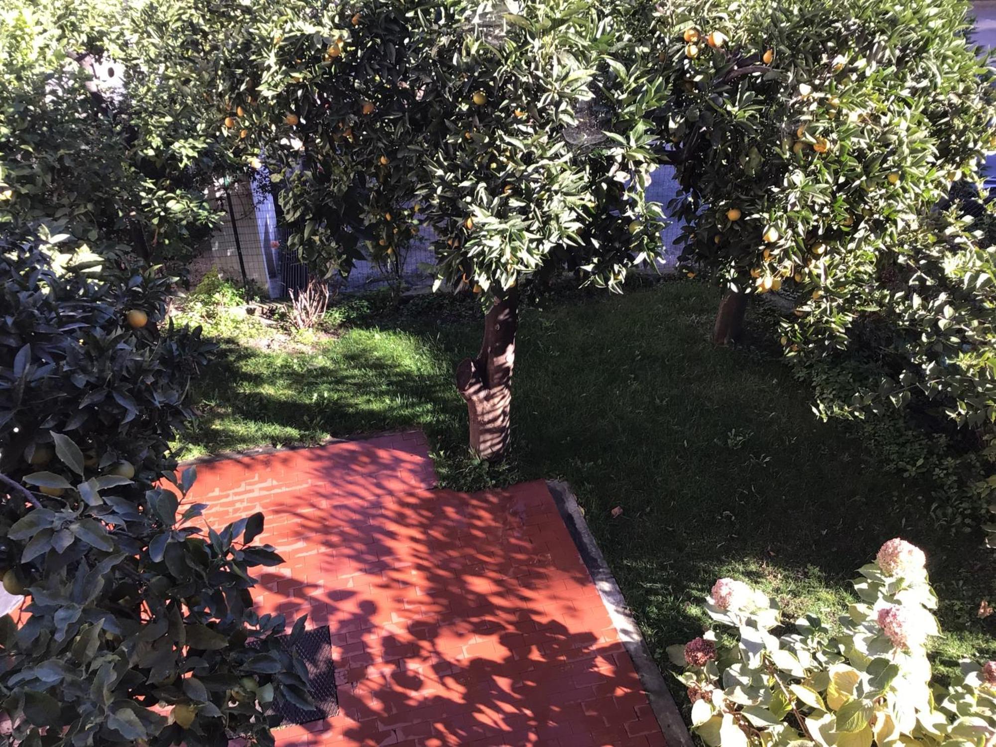 Casa Luigia Rooms Mtb In Finalborgo Bike Room Tour Ebike Trekking Finale Ligure Eksteriør billede